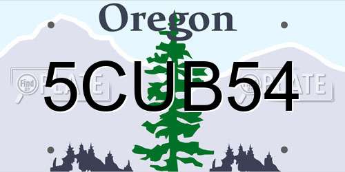 5CUB54 Oregon License Plate