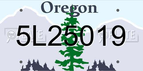 5L25019 Oregon License Plate
