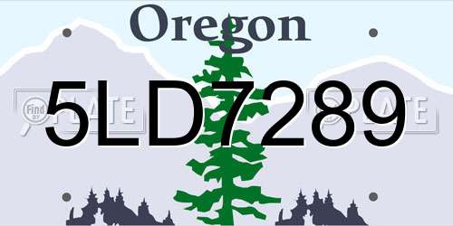 5LD7289 Oregon License Plate