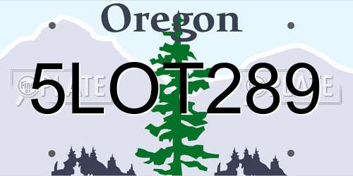 5LOT289 Oregon License Plate