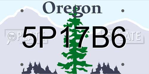 5P17B6 Oregon License Plate