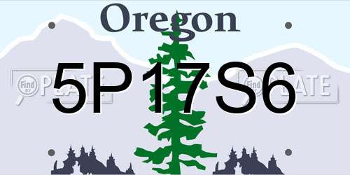 5P17S6 Oregon License Plate