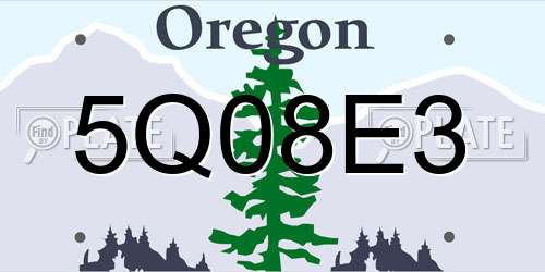 5Q08E3 Oregon License Plate