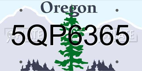 5QP6365 Oregon License Plate