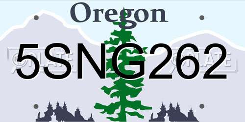 5SNG262 Oregon License Plate