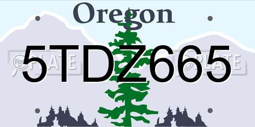 5TDZ665 Oregon License Plate