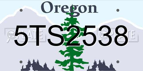5TS2538 Oregon License Plate