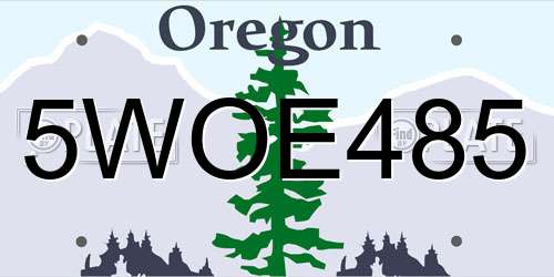 5WOE485 Oregon License Plate