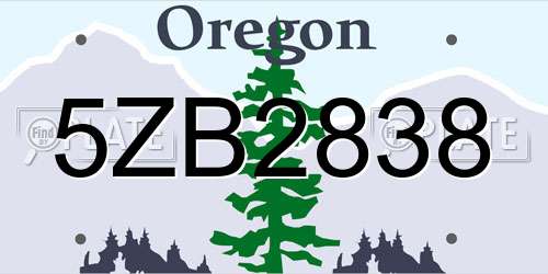 5ZB2838 Oregon License Plate