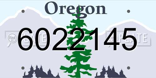 6022145 Oregon License Plate