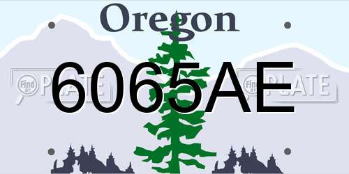 6065AE Oregon License Plate