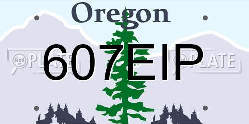 607EIP Oregon License Plate