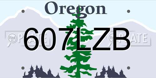 607LZB Oregon License Plate