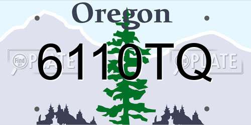 6110TQ Oregon License Plate