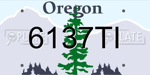 6137TI Oregon License Plate