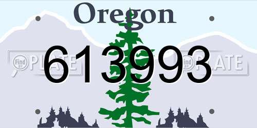 613993 Oregon License Plate