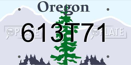 613T71 Oregon License Plate