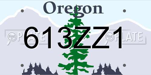 613ZZ1 Oregon License Plate