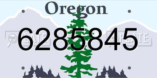 6285845 Oregon License Plate