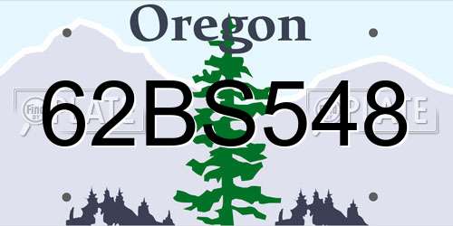 62BS548 Oregon License Plate