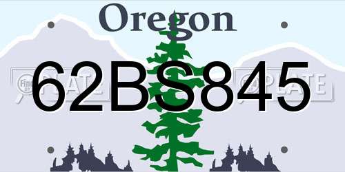 62BS845 Oregon License Plate