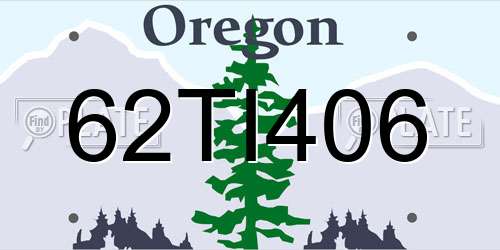 62TI406 Oregon License Plate