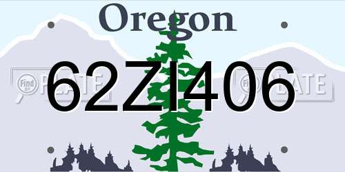 62ZI406 Oregon License Plate