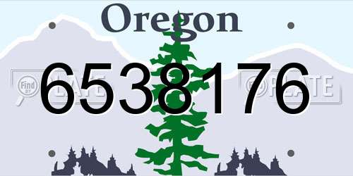 6538176 Oregon License Plate