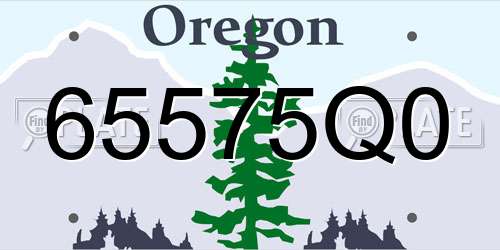 65575Q0 Oregon License Plate