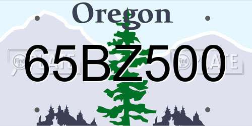 65BZ500 Oregon License Plate