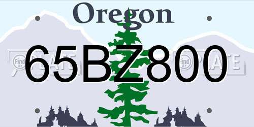 65BZ800 Oregon License Plate
