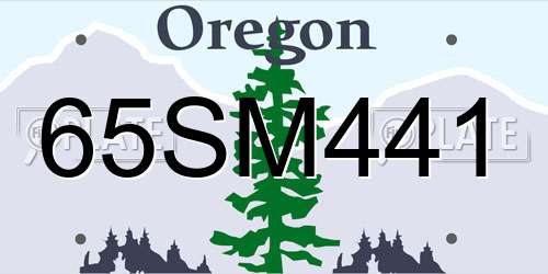 65SM441 Oregon License Plate