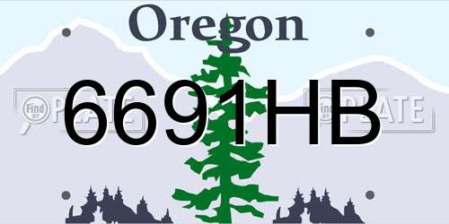6691HB Oregon License Plate
