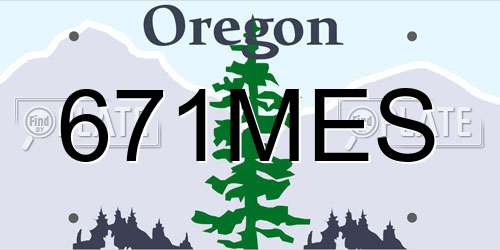 671MES Oregon License Plate