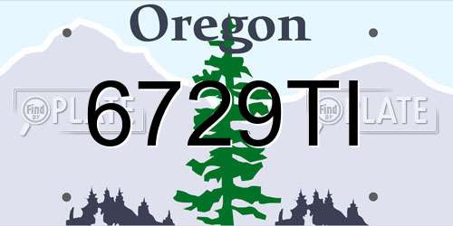 6729TI Oregon License Plate