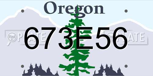 673E56 Oregon License Plate