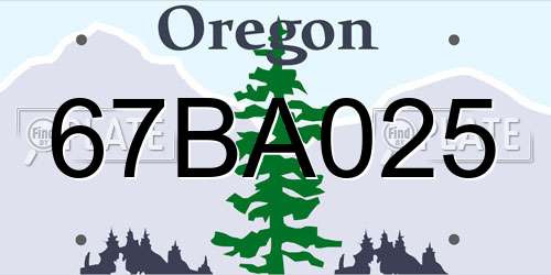 67BA025 Oregon License Plate