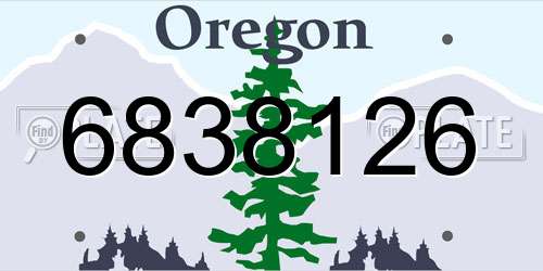6838126 Oregon License Plate