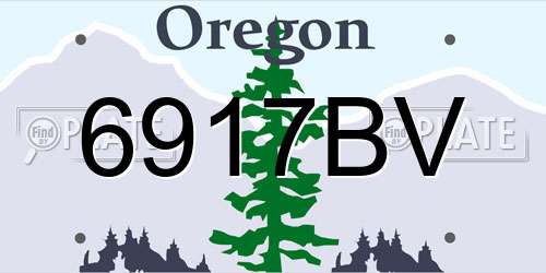 6917BV Oregon License Plate
