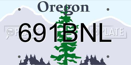 691BNL Oregon License Plate
