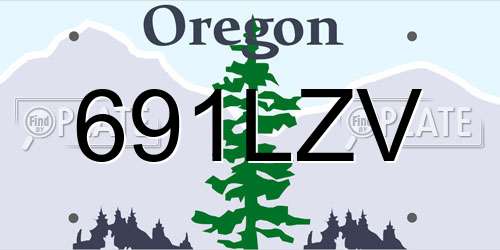 691LZV Oregon License Plate