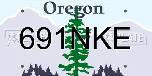 691NKE Oregon License Plate