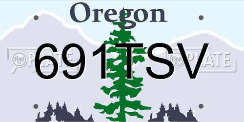 691TSV Oregon License Plate