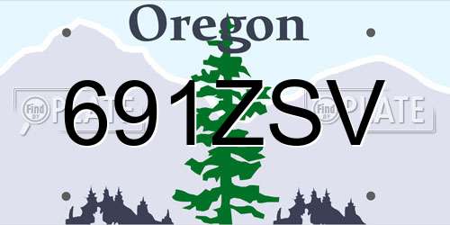 691ZSV Oregon License Plate
