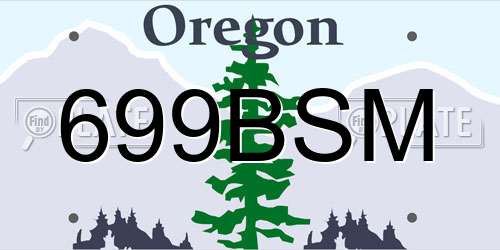699BSM Oregon License Plate