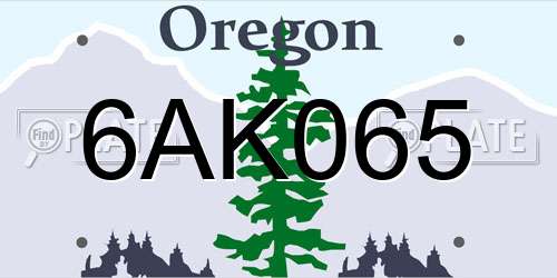 6AK065 Oregon License Plate