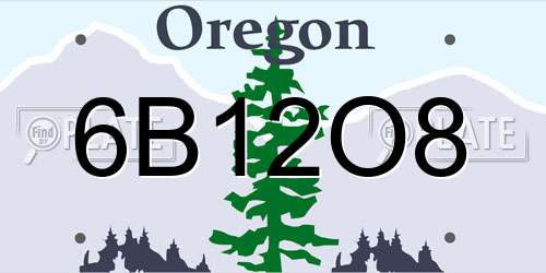 6B12O8 Oregon License Plate