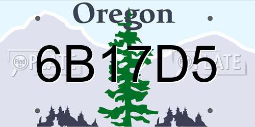 6B17D5 Oregon License Plate