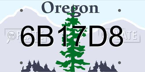 6B17D8 Oregon License Plate