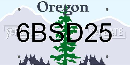 6BSD25 Oregon License Plate